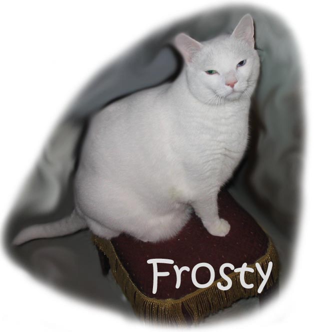frostystool.jpg