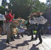more of Mexican dancers at the U of A