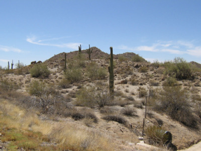 Southern Arizona landscape